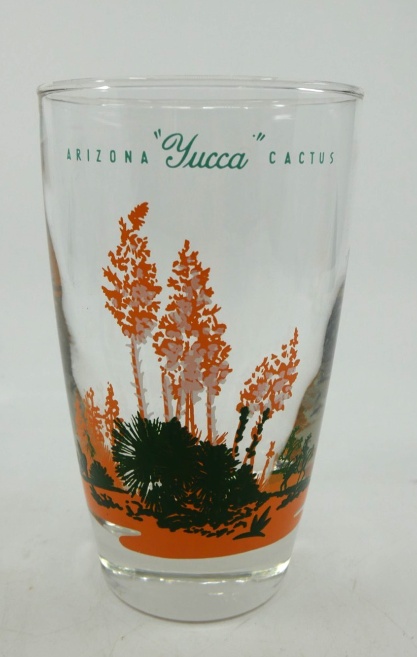 VTG 1950s Blakely Gas & Oil Arizona "Yucca" Cactus Clear Glasses